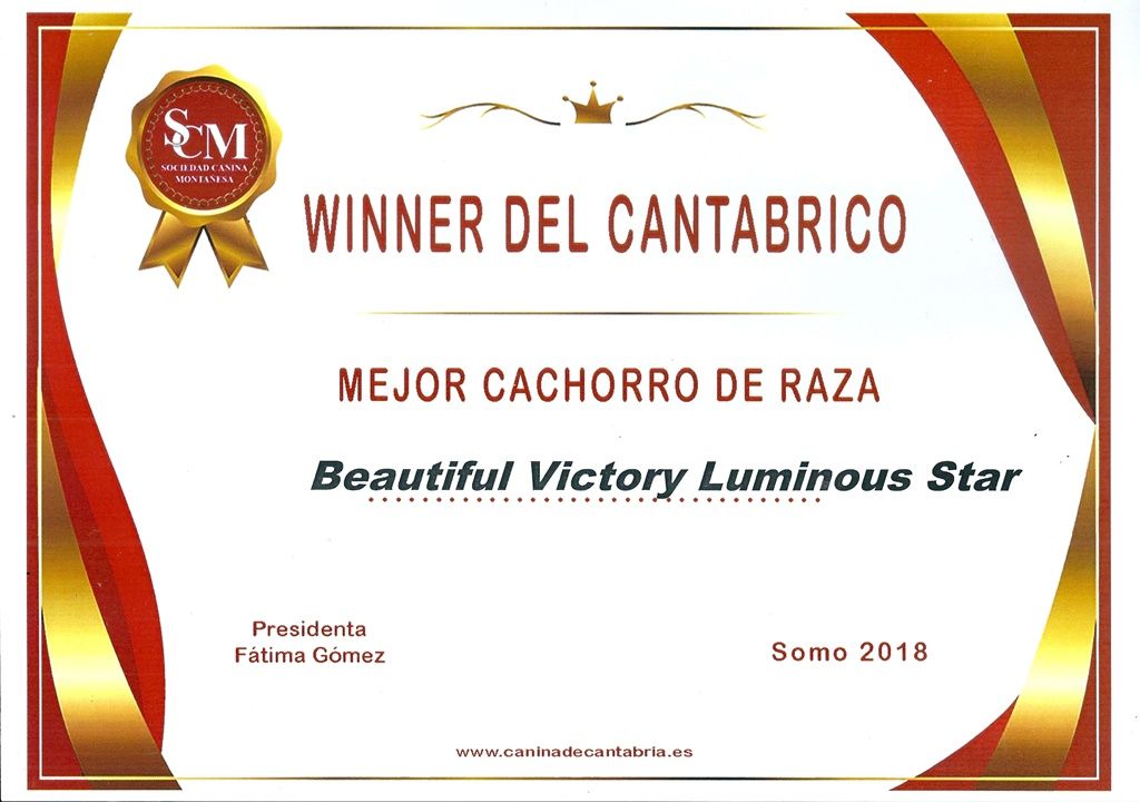 Winner del Cantábrico - Kissy