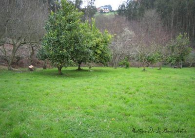 Asturias