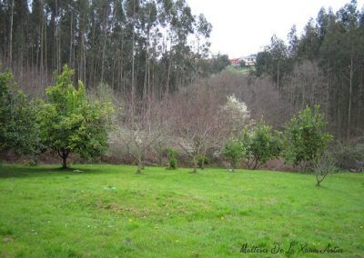 Asturias