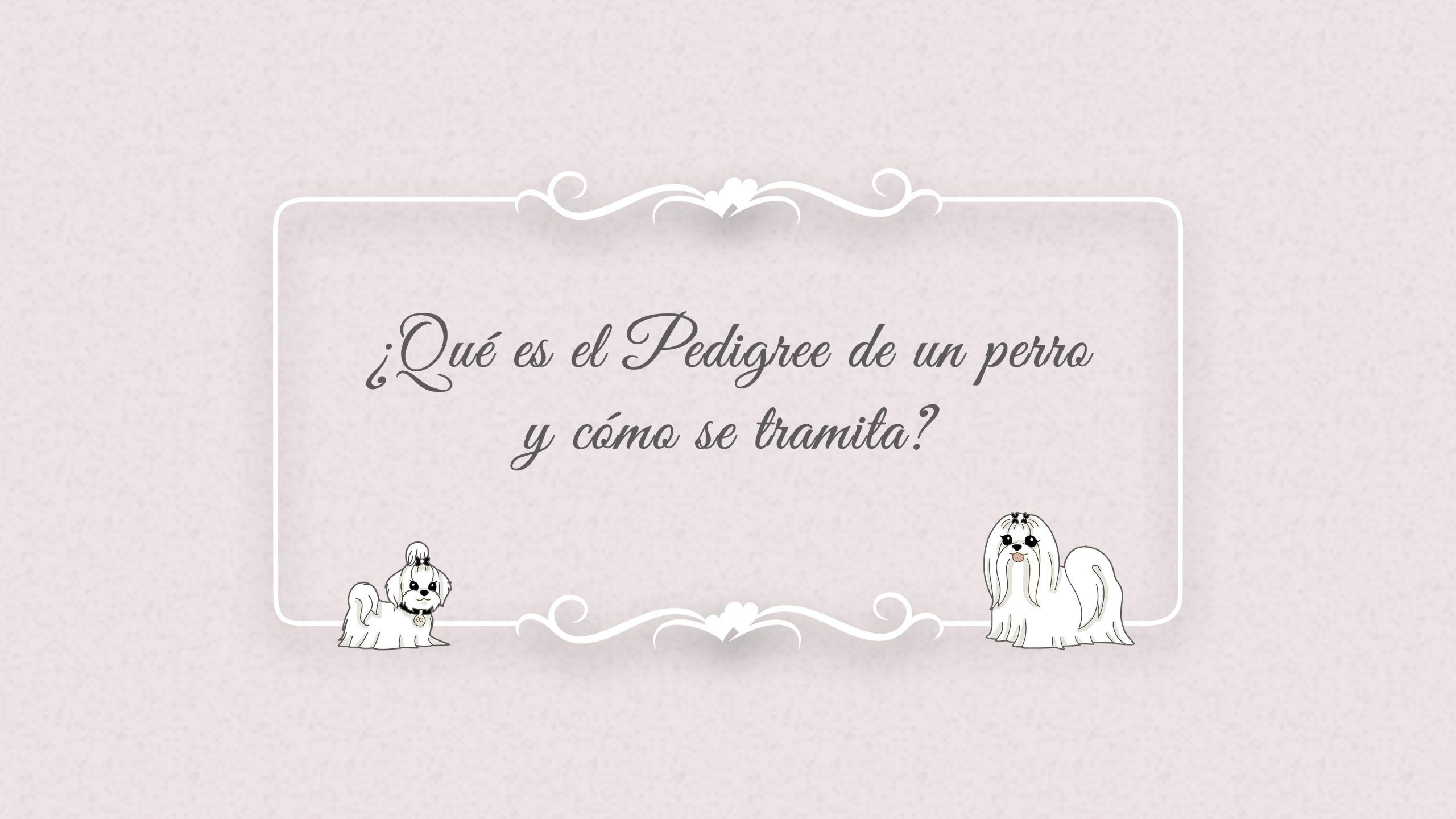 Qué es el pedigree