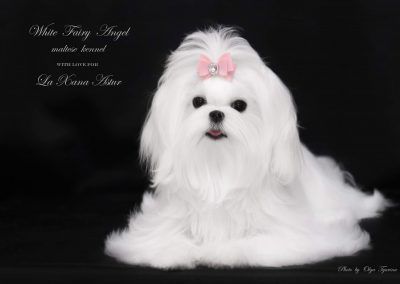 White Fairy Angel Love's Aura (Aura)