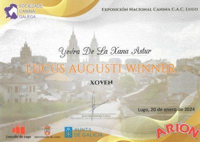 Lucus Augusti Winner Yedra De La Xana Astur