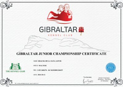 Campeón Joven de Gibraltar Shalma