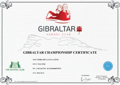 Campeón Gibraltar Yedra