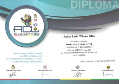 Junior_Latin_Winner_2024_Yedra