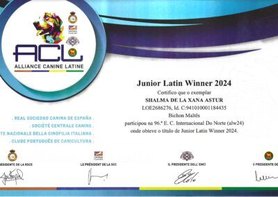 Junior_Latin_Winner_2024_Shalma
