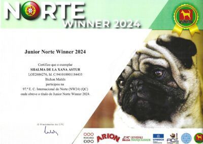 Junior Norte Winner 2024 Shalma