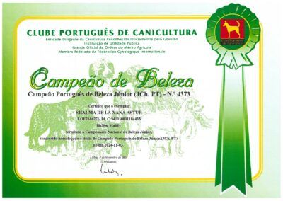 Campeón Joven de Portugal Shalma