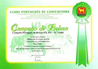 CH_Portugal_Yedra