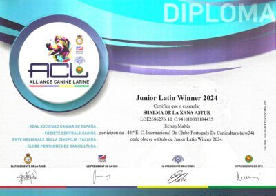 Junior_Latin_Winner_2024_Shalma