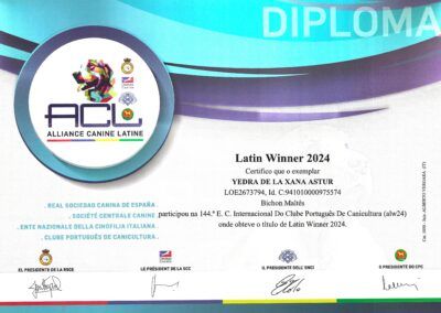 Latin_Winner_2024_Yedra