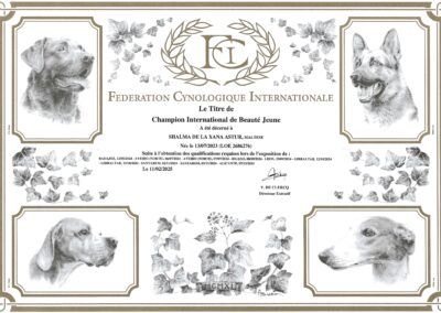 CH_JR_Internacional_Shalma