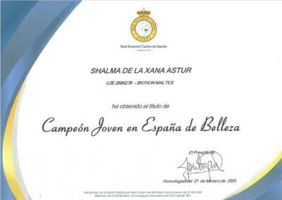 Campeón Joven de España de Belleza - Shalma De La Xana Astur