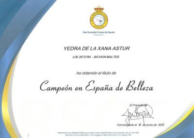CH_España_Yedra