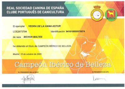 CH_Ibérico_Yedra