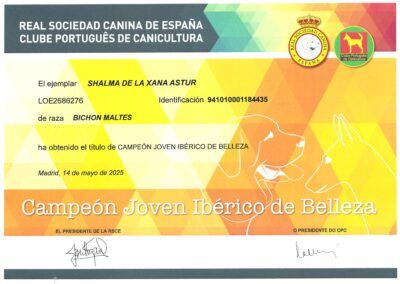 CH_JR_Ibérico_Shalma