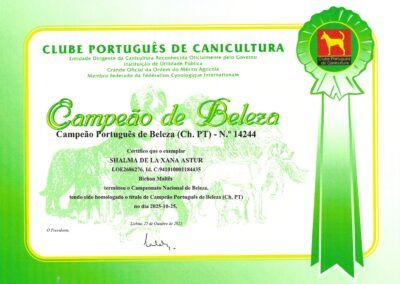 CH_Portugal_Shalma_p