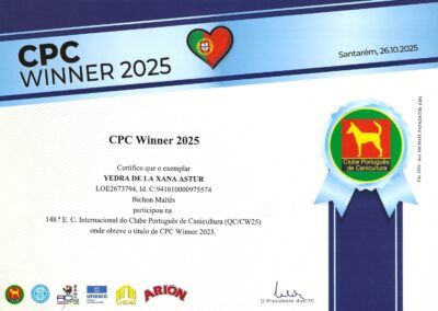 CPC_Winner_2025_Yedra_p