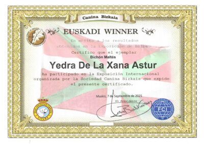 Euskadi_Winner_2025_Yedra