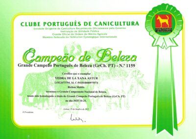 GRAN_CAMPEON_Portugal_Yedra_p