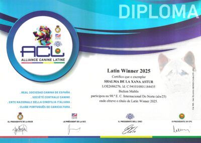 Latin_Winner_2025_Shalma