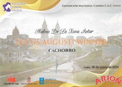 Lugo2024cc