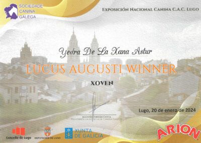 Lugo2024cj