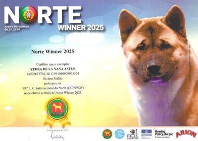 norte_winner_2025_Yedra