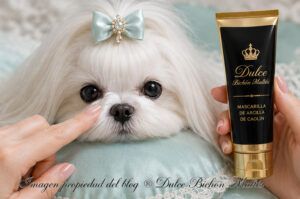 Limpieza del lagrimal del Bichón Maltés